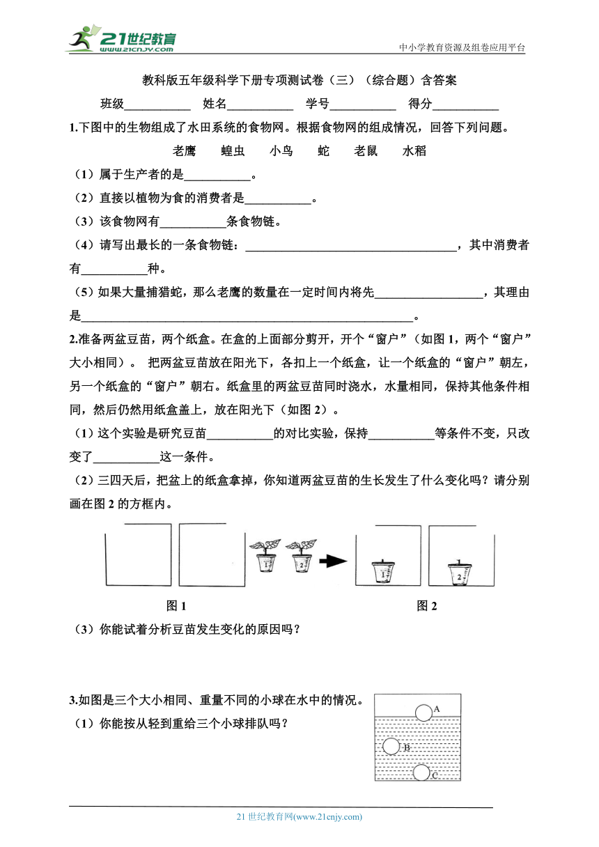 教科版五年级科学下册专项练习卷（三）（综合题）含答案