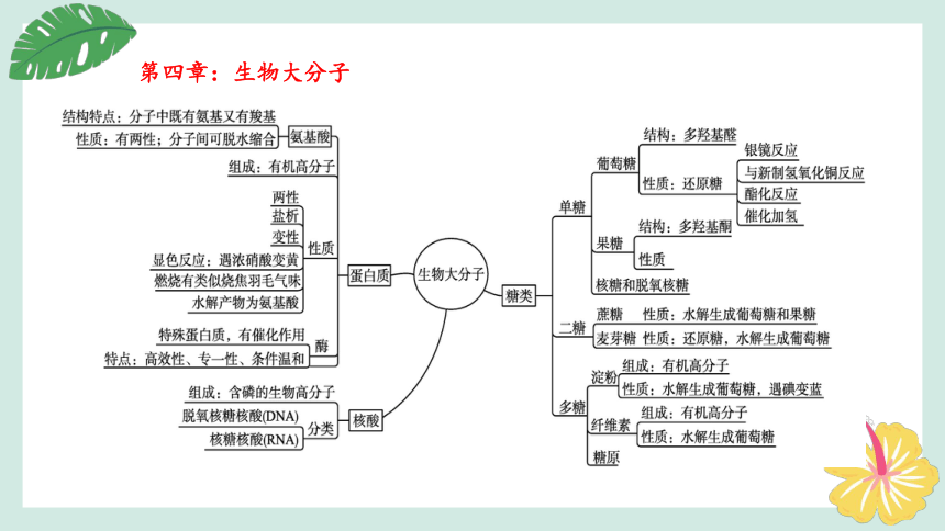 化学人教版（2019）选择性必修3 4.1糖类（共58张ppt）