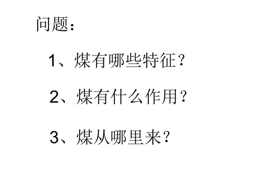 鄂教版（2001）五年级科学下册课件3.14 煤（课件11ppt）