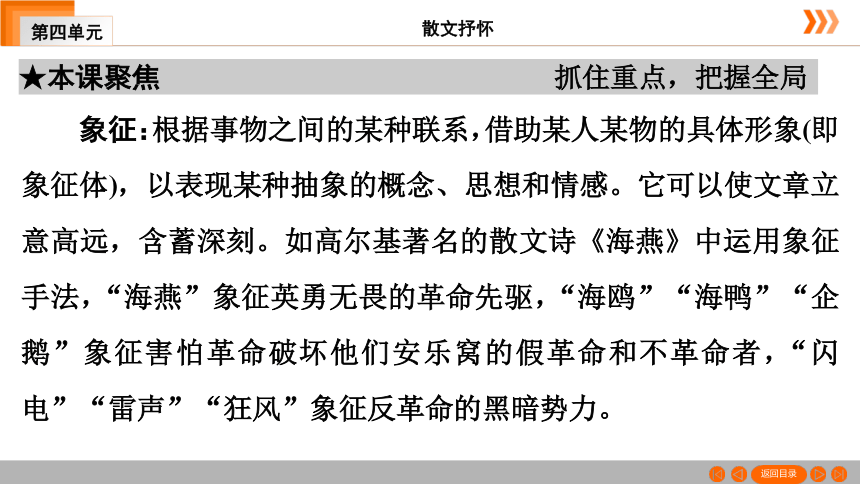 15 白杨礼赞习题课件（共49张幻灯片）