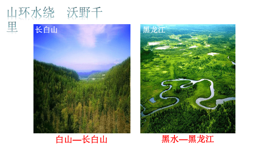 第六章  北方地区 第二节  “白山黑水”——东北三省  课件（共53页PPT）