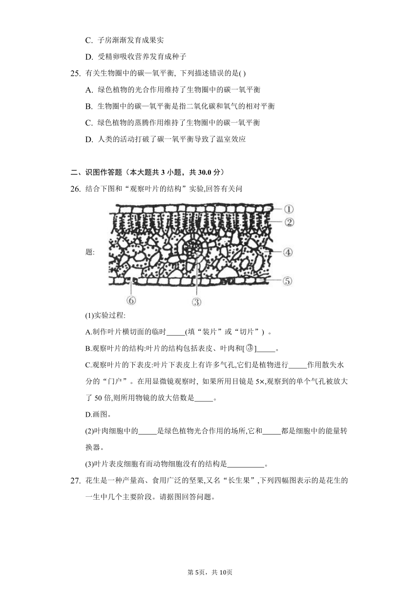 第三单元 生物圈中的绿色植物 2022-2023学年北师大版生物七年级上册单元同步练习(word版含答案）