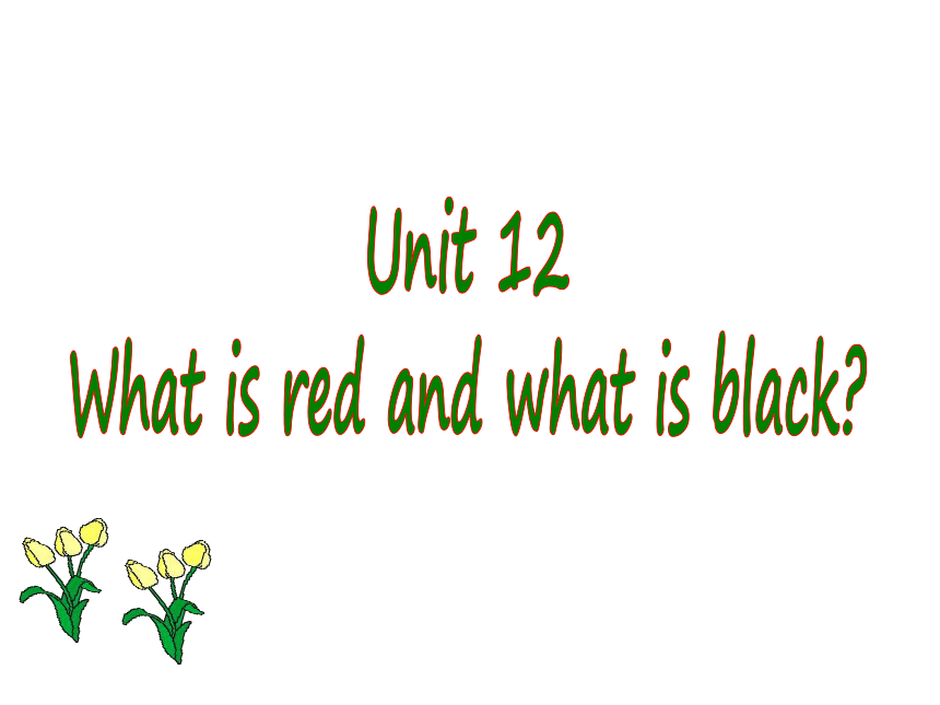 剑桥少儿英语预备级Unit12 What is red and what is black? 课件（共26张）.