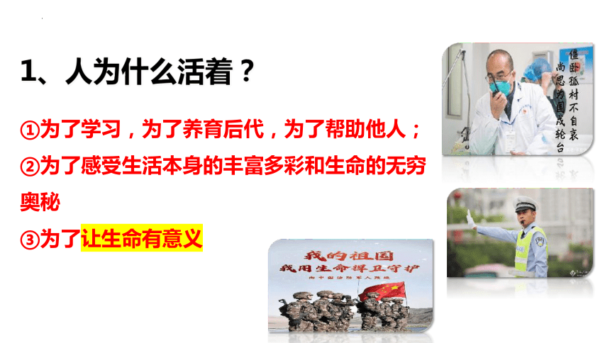 10.1 感受生命的意义 课件(共21张PPT)-2023-2024学年统编版道德与法治七年级上册