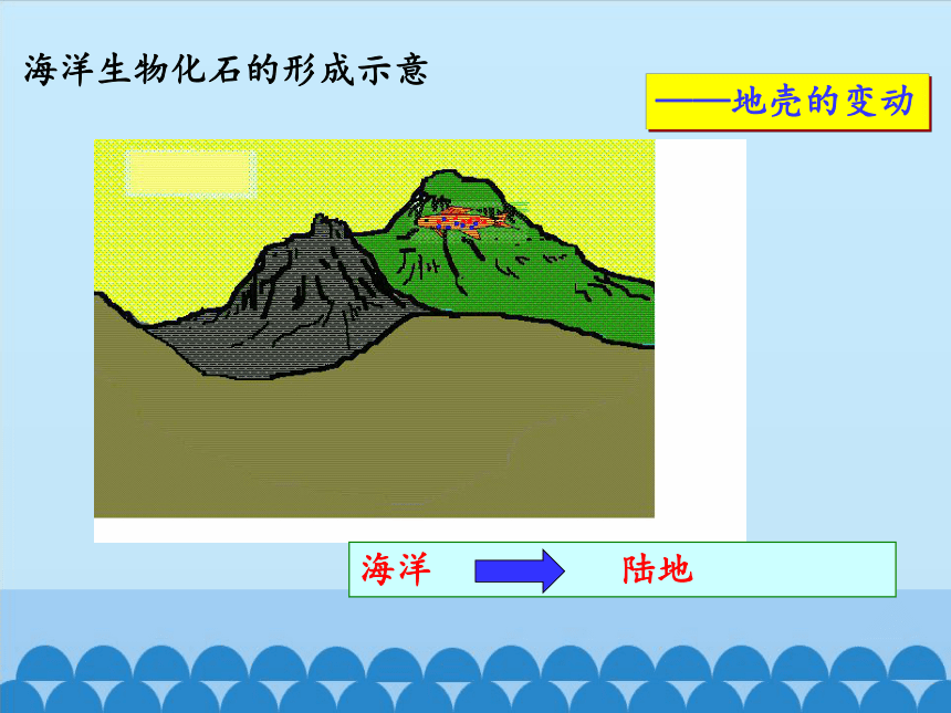 鲁教版（五四制）地理六年级上册 第二章 第二节  海陆的变迁课件（共33张PPT）