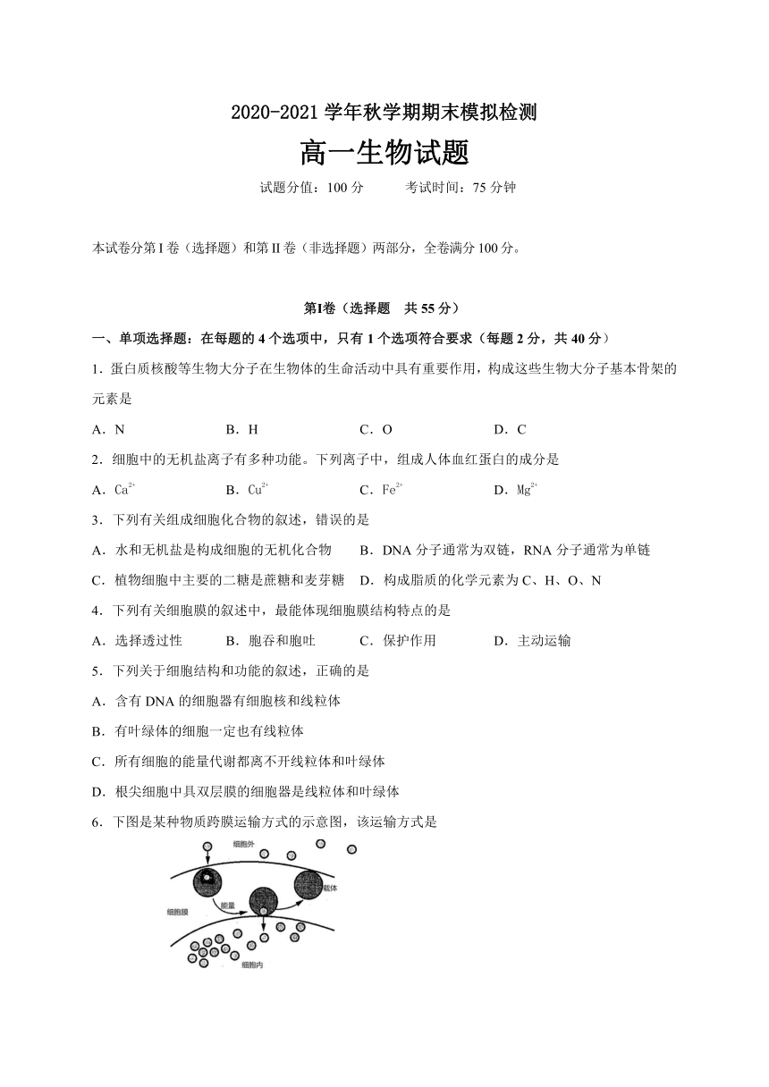 2020-2021学年高一上学期生物（苏教版（2019）必修第一册）期末考试试卷