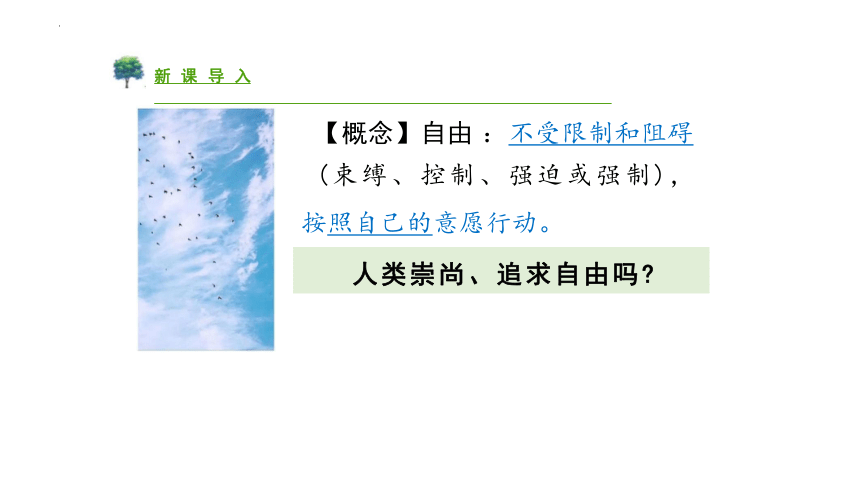 7.1自由平等的真谛 课件(共21张PPT)-统编版道德与法治八年级下册