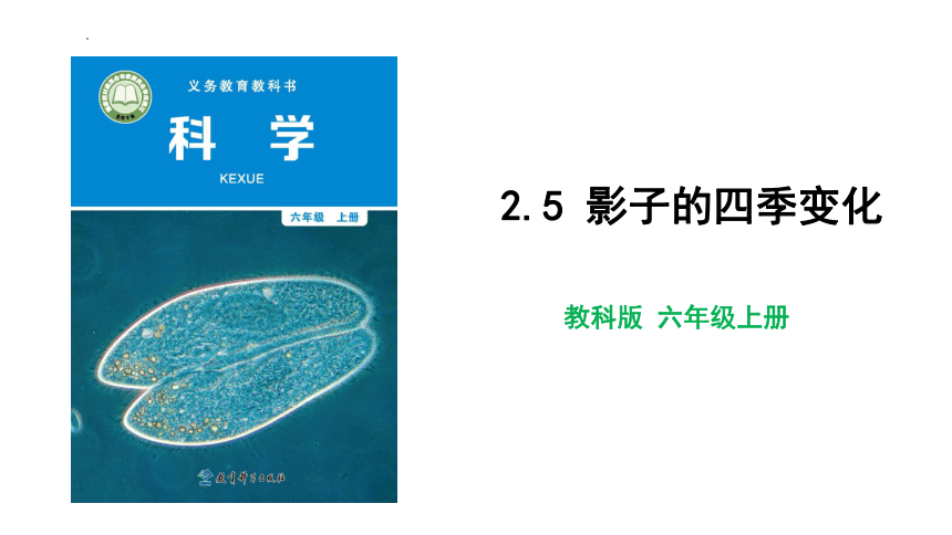 教科版（2017秋） 六年级上册2.5影长的四季变化 课件(共18张PPT)