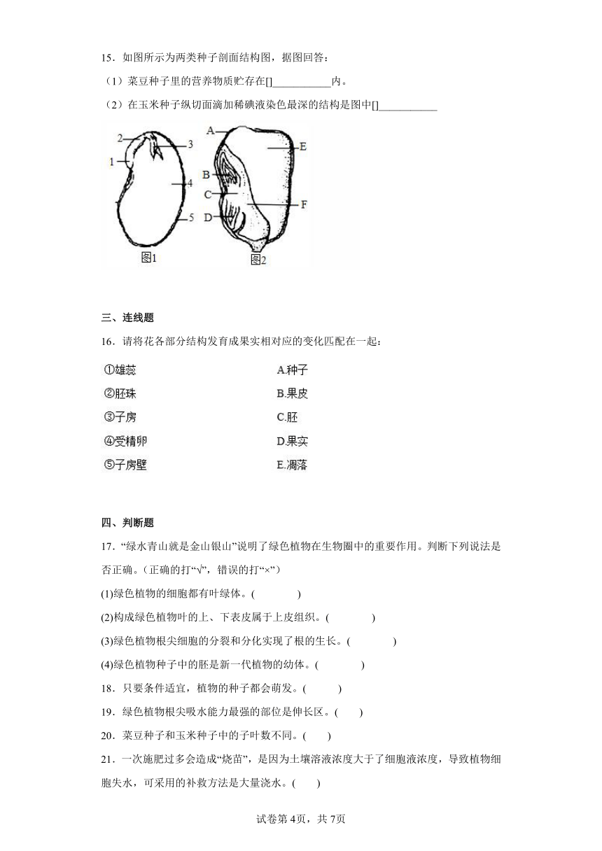 人教版生物七年级上册 3.4 被子植物的一生同步练习（附解析）