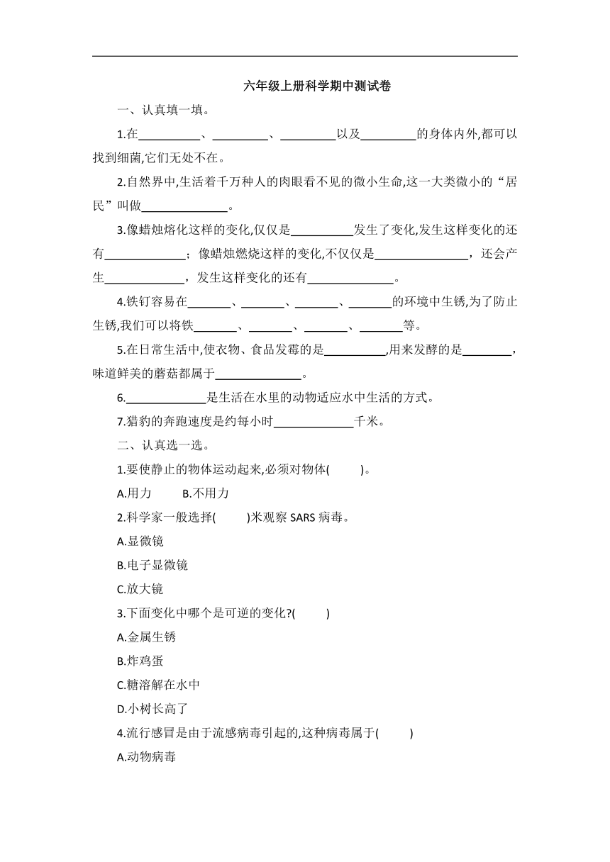 青岛版六年级上册科学期中测试卷（含答案）