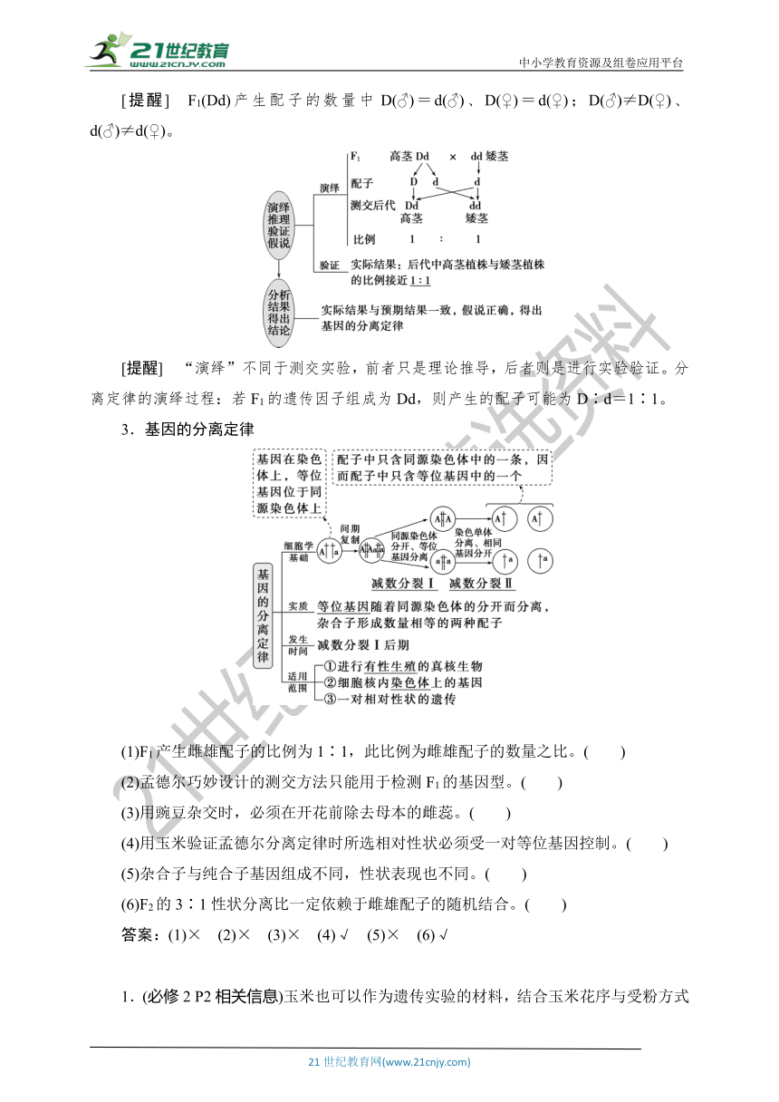 【考点梳理  生物总复习 】30第13讲　基因的分离定律（Word版含答案）