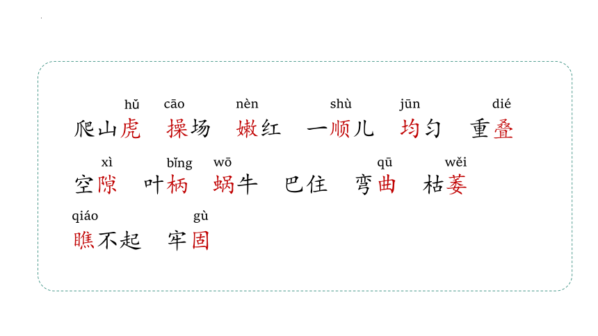 10爬山虎的脚   课件 (共22张PPT)