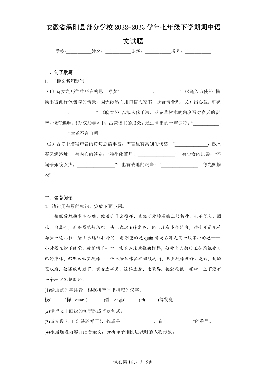 安徽省涡阳县部分学校2022-2023学年七年级下学期期中语文试题（含解析）