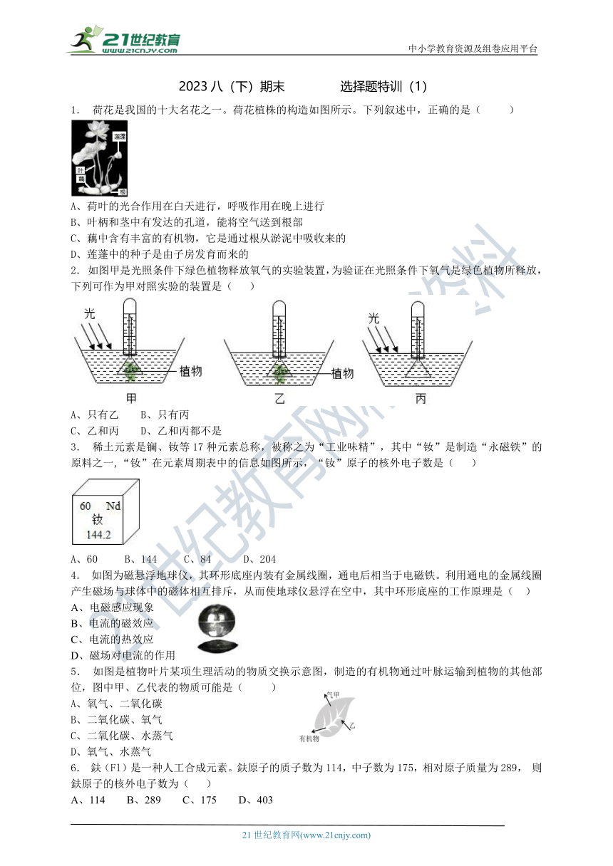 2023八（下）期末冲刺选择题特训（1）（含答案）