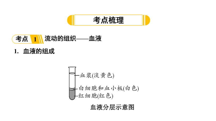 4.4 血液、血管、输血和血型复习课件(共26张PPT)