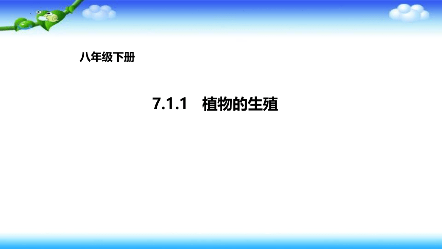 7.1.1植物的生殖课件2021—2022学年人教版生物八年级下册  课件 (共49张PPT)