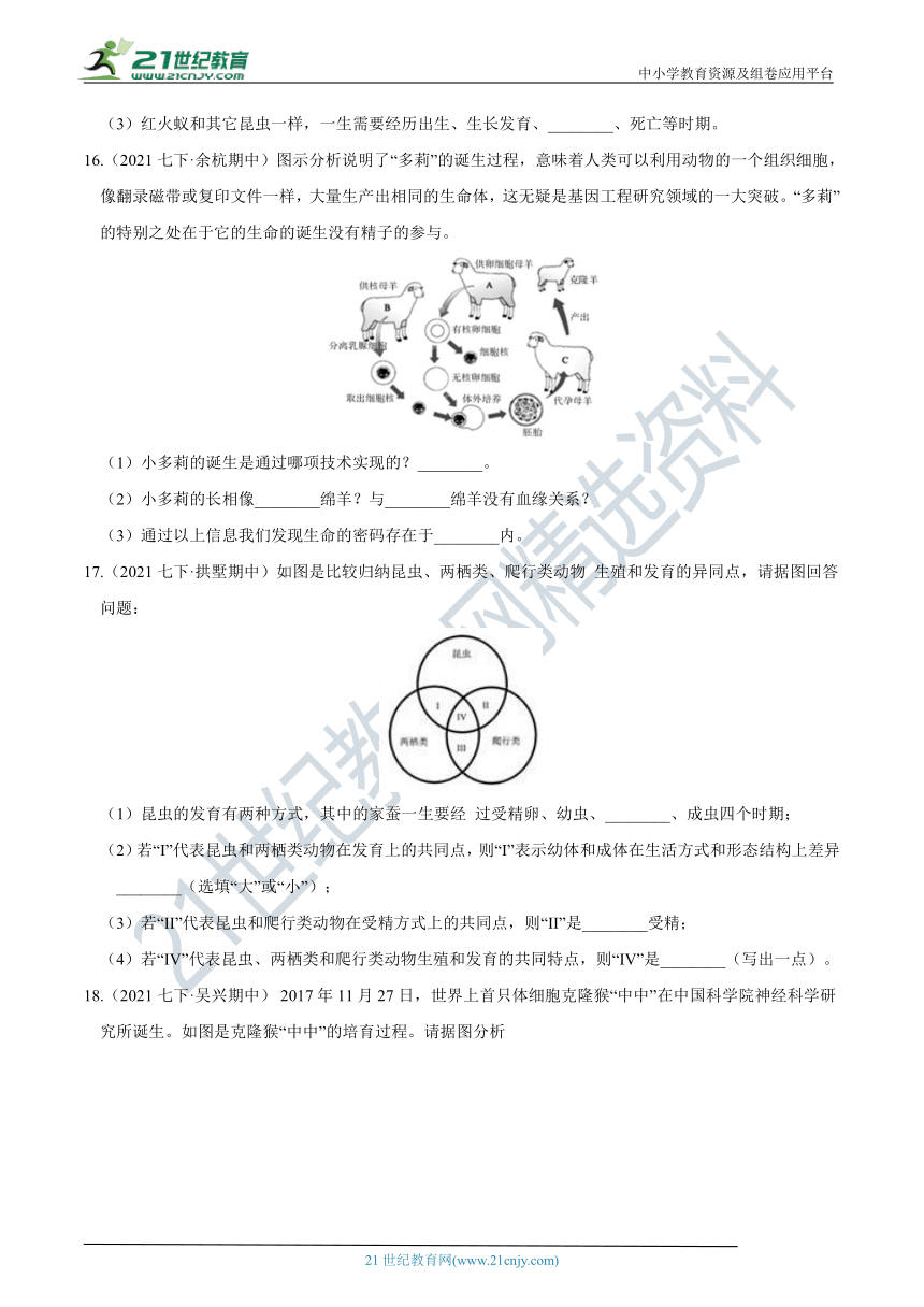 【7年级下册同步讲练测】1.3 动物的生长时期  学情检测（含答案）