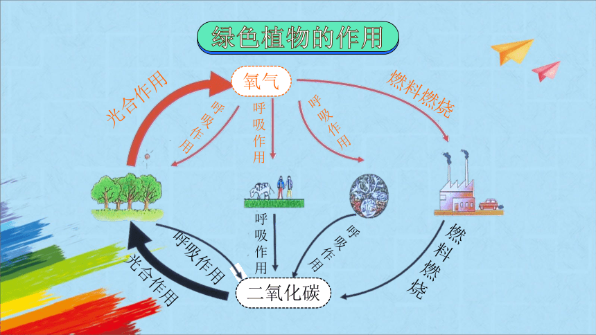 人教版七年级生物上册   3 . 6  爱护植被，绿化祖国  教学课件 (共43张PPT＋内嵌2个视频)