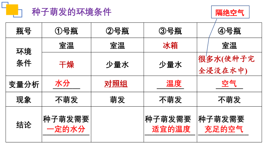 专题05 被子植物的一生-2023年中考生物复习课件(共24张PPT)