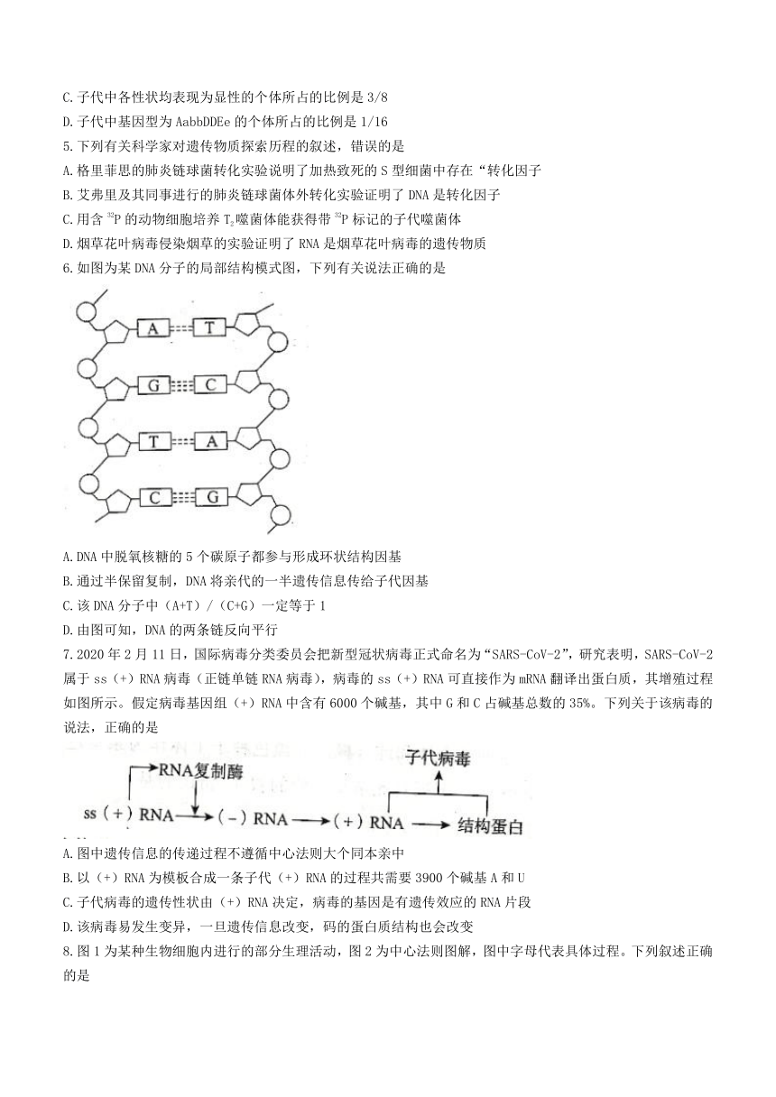 河北省邯郸市2020-2021学年高一下学期期末考试生物试题 Word版含解析