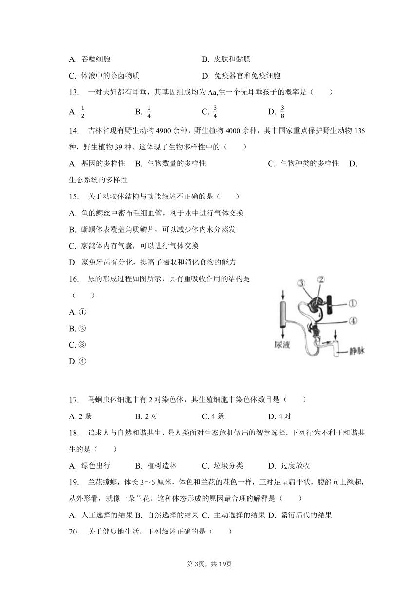 2023年吉林省中考生物真题试卷（含解析）