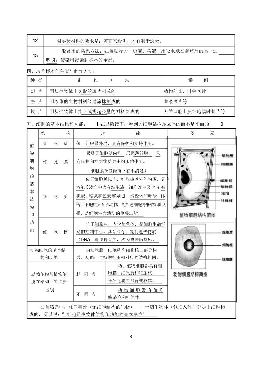 中考生物知识点总结（11个专题）（69节PPT）