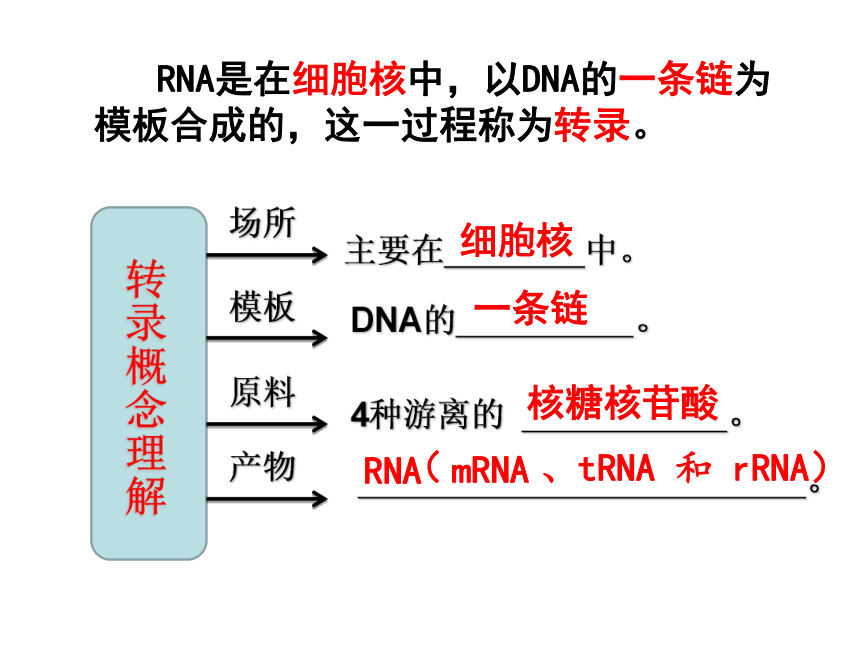 2020——2021学年高一下学期必修2第4章第1节 基因指导蛋白质的合成  课件  (人教版 )(45张)