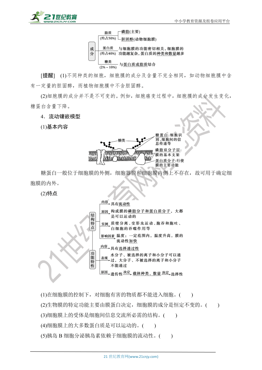 【考点梳理  生物总复习 】6第4讲　细胞膜与细胞核（Word版含答案）