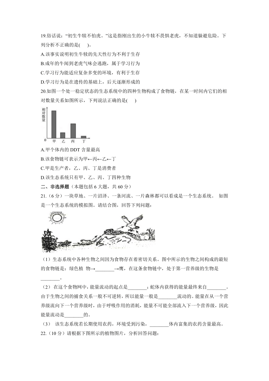 2021-2022学年苏教版生物八年级上册期末复习测评卷A卷（word版含解析）