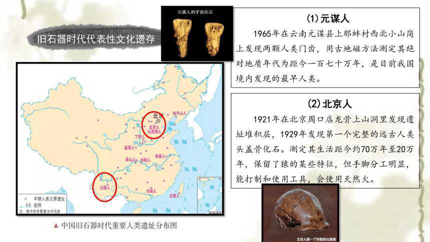 第1课 中华文明的起源与早期国家 课件(共34张PPT)