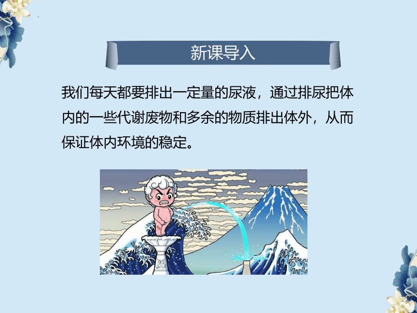 3.4.1尿的形成和排出课件(共26张PPT) 济南版生物七年级下册