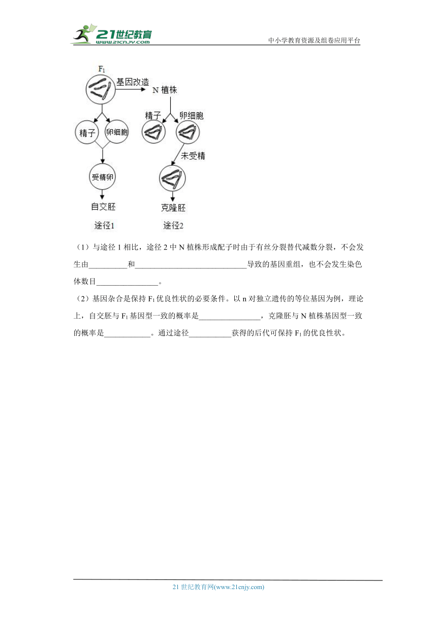 五年2018-2022高考生物真题按知识点分类汇编45-基因重组、DNA分子上的碱基（含解析）