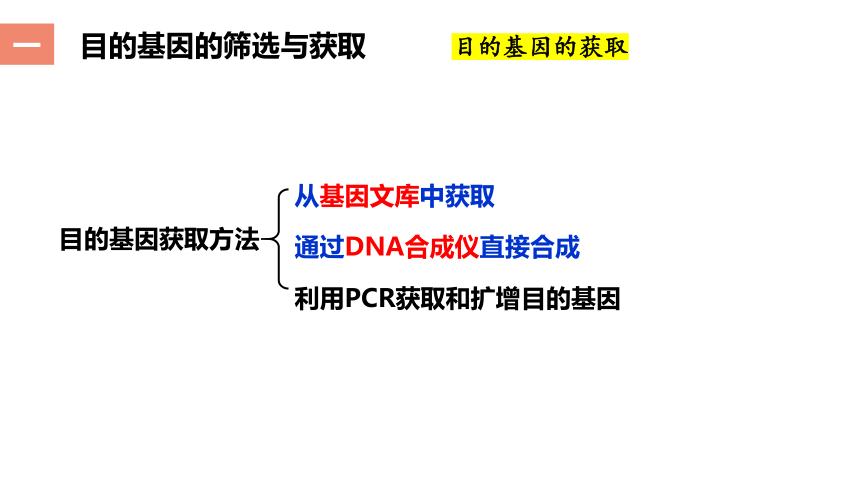 3.2.1基因工程的基本操作程序(课件共22张PPT)