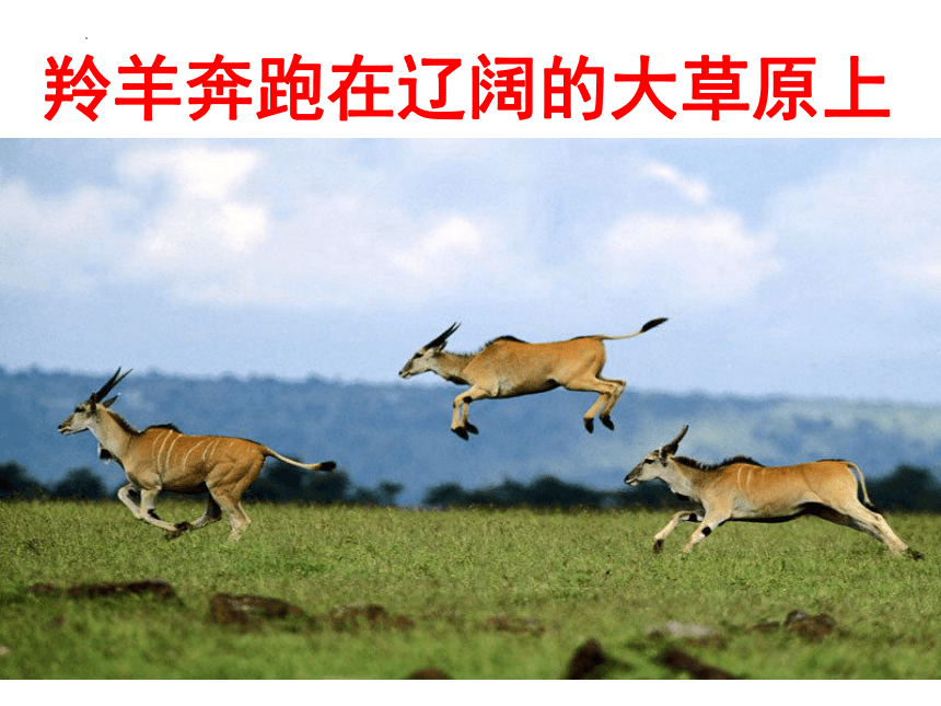 8.3撒哈拉以南非洲──黑种人的故乡课件(共63张PPT)2022-2023学年人教版地理七年级下册