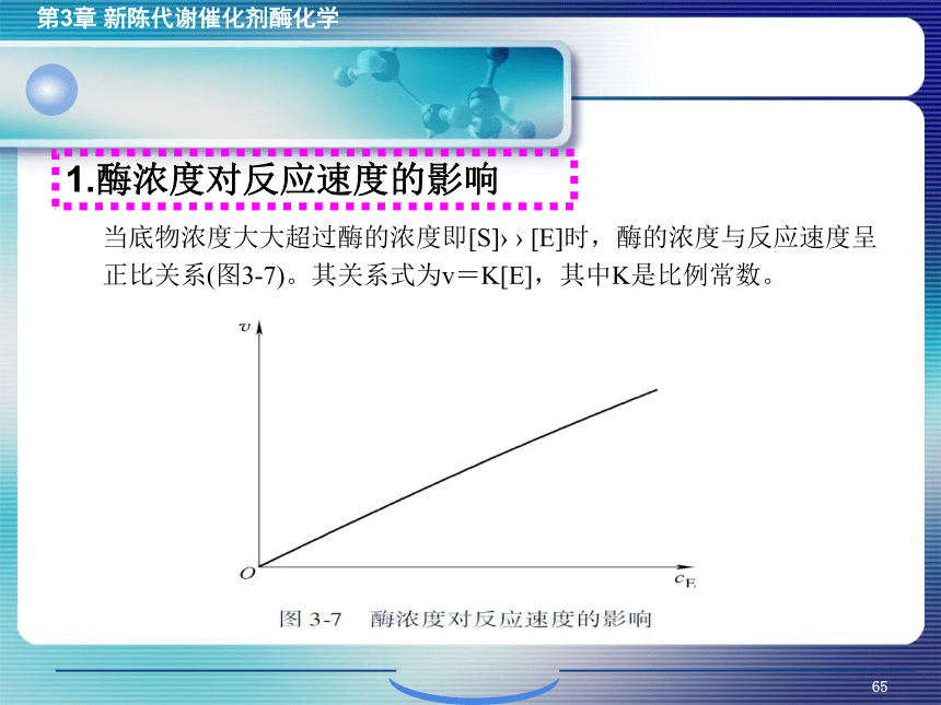 3.4酶促反应的动力学 课件(共41张PPT)- 《环境生物化学》同步教学（机工版·2020）