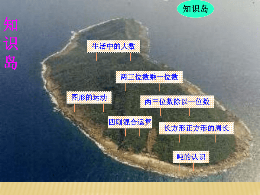 冀教版三年级上册数学总复习课件(共53张PPT)