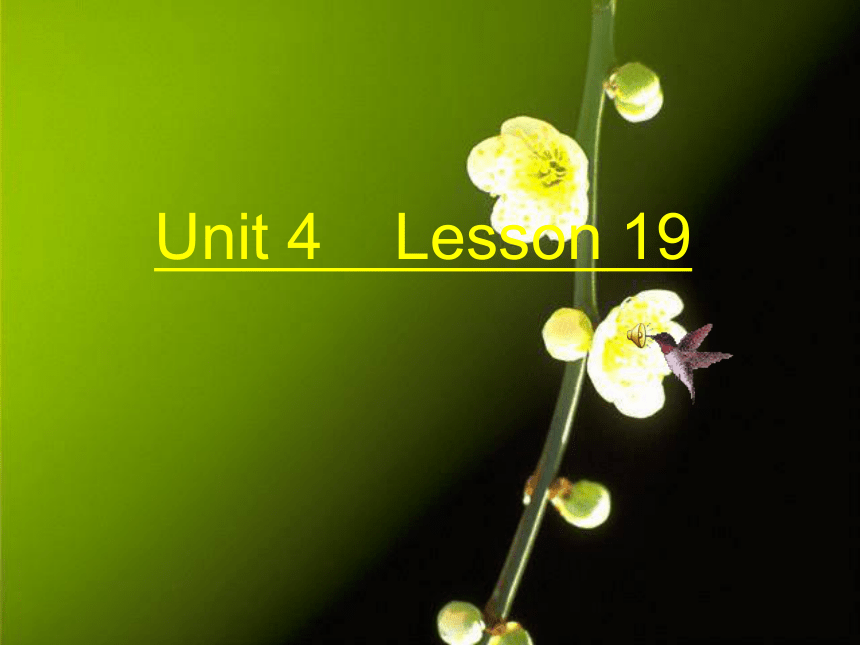 Unit4 Do you like candy？(Lesson19) 课件（共22张PPT）
