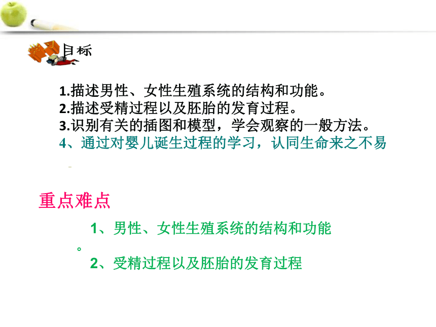 2021--2022学年济南版八年级上册 4.3.1婴儿的诞生课件（共42张PPT ）