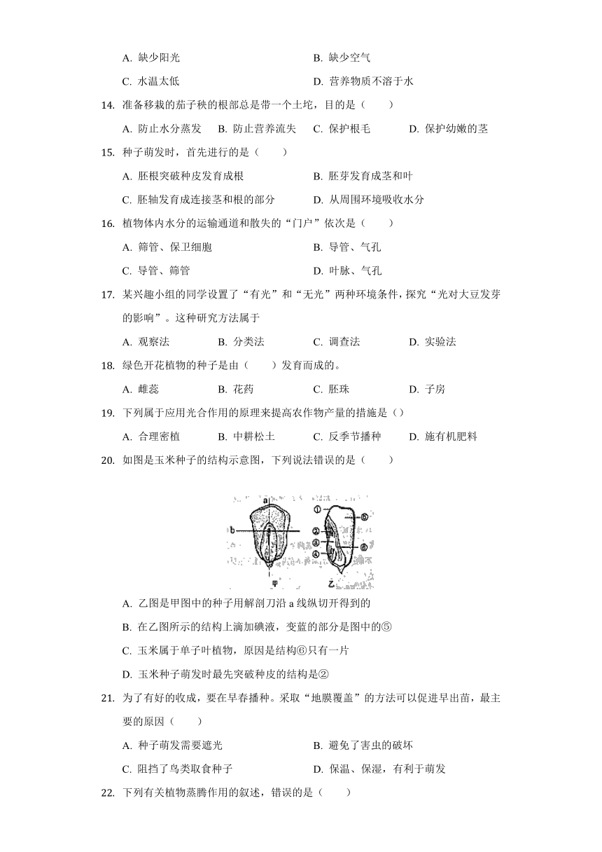 人教版七年级生物上册 第3单元 生物圈中的绿色植物 单元测试卷（Word版含解析）