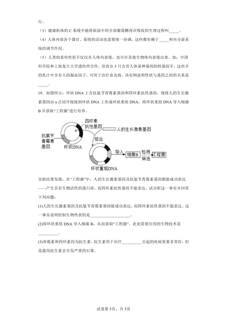 八年级下册7.2.1基因控制生物的性状 同步练习（word版含解析）