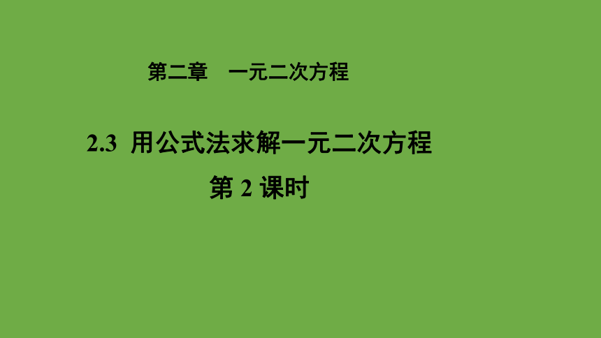 2.3 用公式法求解一元二次方程 （第2课时） 课件(共21张PPT) 2023--2024学年北师大版九年级数学上册