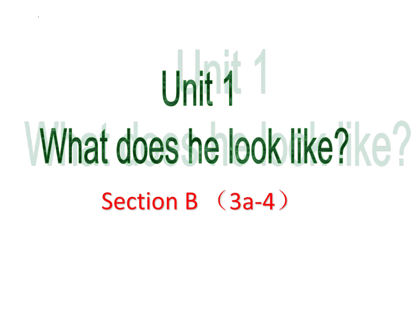 鲁教版英语七年级上册 Unit 1  What does he look like?Section B (3a-4) 课件 (共23张PPT)