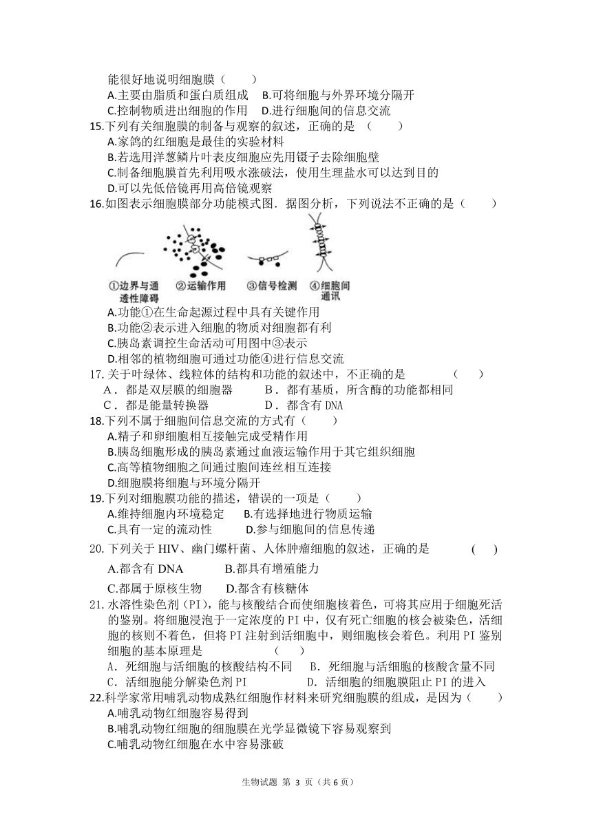 1.3.1高一生物：细胞膜统训卷（含答案）