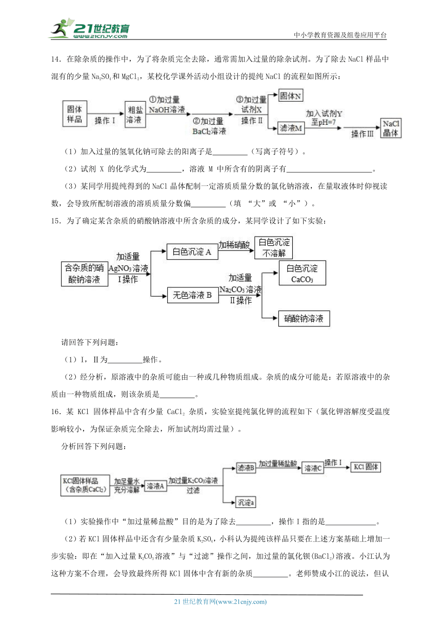 浙教版九上第一章专题四 除杂与分离（含解析）