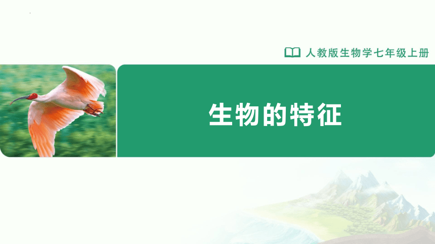 1.1.1 生物的特征（教学课件）-2023-2024学年七年级生物上册精品资源包 课件（人教版）(共23张PPT)