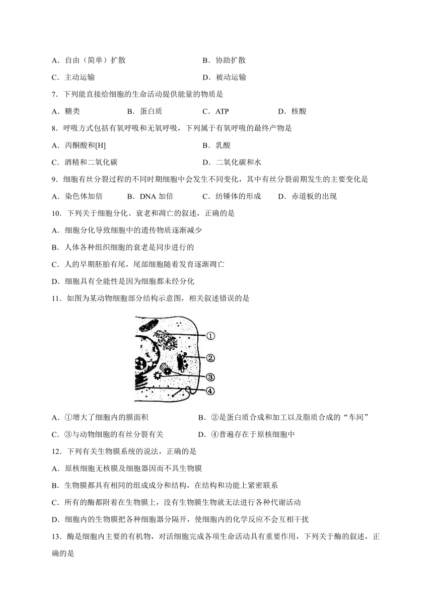 2020-2021学年高一上学期生物（苏教版（2019）必修第一册）期末考试试卷