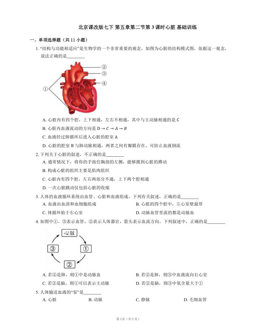 北京课改版七下 第五章第二节人体内的物质运输（第3课时）：心脏 基础训练（含解析）