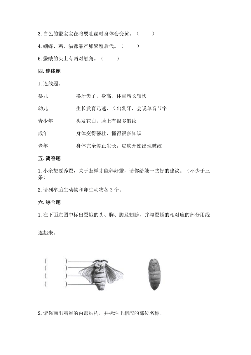 2020-2021学年教科版（2017秋）科学三年级下册第二单元 动物的一生 单元测试卷（含答案）