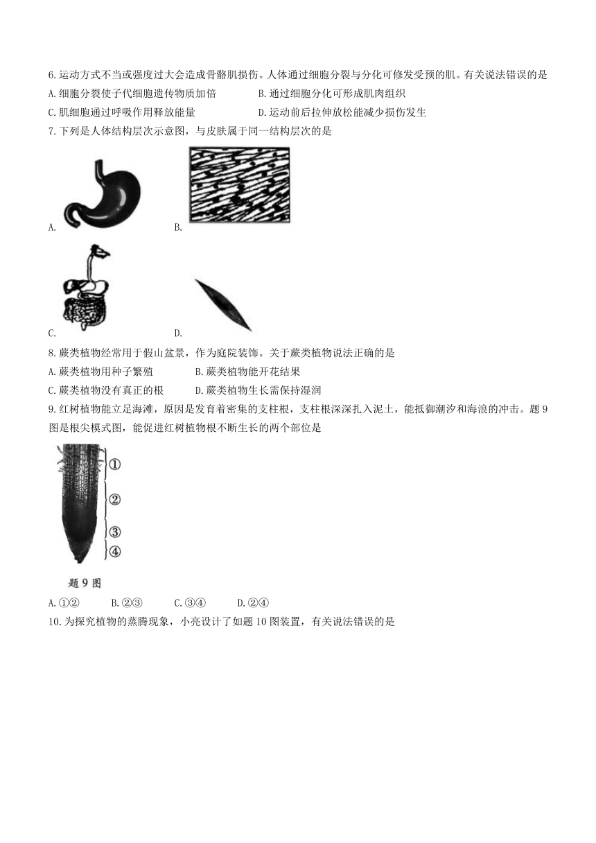 2023年广东省中山市万阅百校联盟中考三模生物试题(含答案)