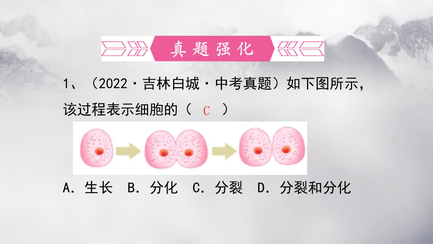 第二单元+第二章+细胞怎样构成生物体-【复习旧知】2022-2023学年七年级生物上册复习课件（人教版）(共68张PPT)